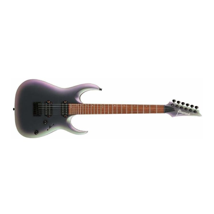 Amazon.com: Ibanez Standard RGA42EX Electric Guitar - Black Aurora