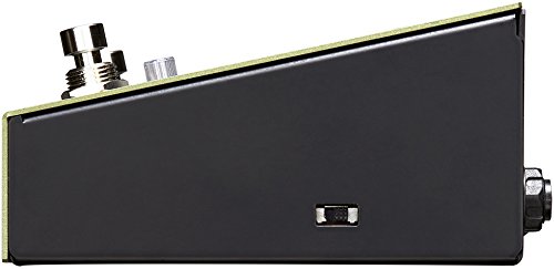 Amazon.com: Free the Tone Flight Time FT-2Y Digital Delay Version