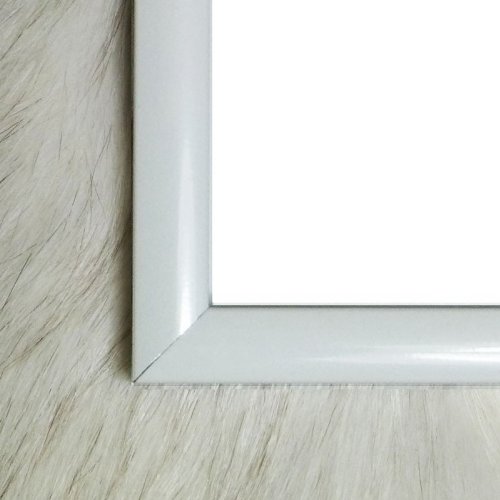 Amazon.co.jp: ポスター ノーマン パーキンソン Evening Dress 額装品