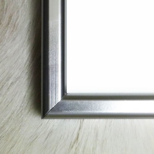 Amazon.co.jp: ポスター フェリックス ナダール サラ ベルナール 額装