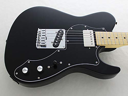 Amazon | FUJIGEN BIL2-M-HS/01 BK エレキギター フジゲン | エレキ