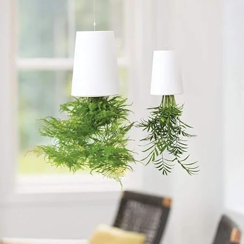 プランター スカイプランター」の人気商品一覧 | 安い商品を通販サイト