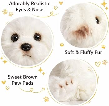 51vmAi-LRzL._AC_UF350,