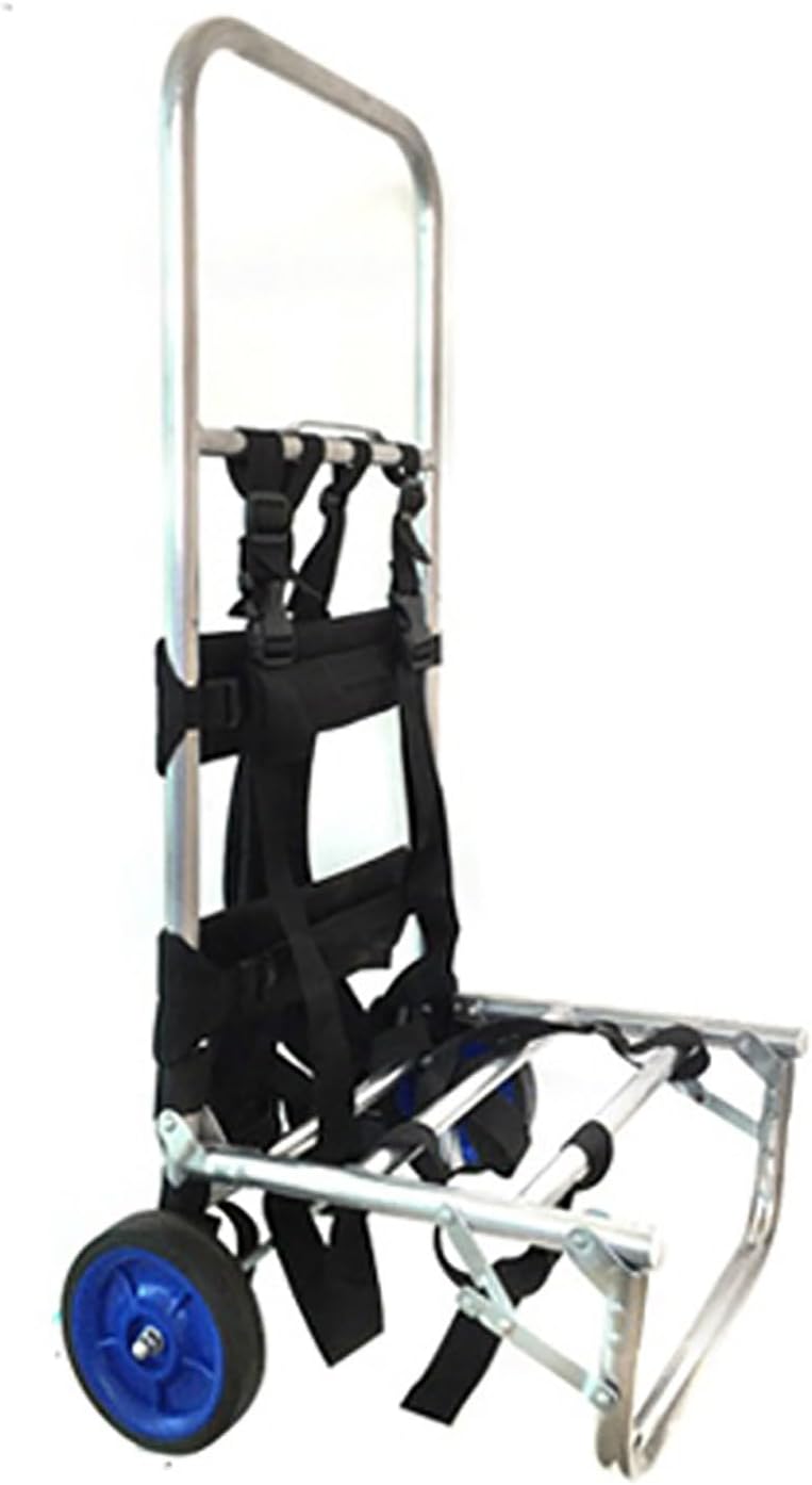 直筆サイン入り写真 アントニオ・コンテ FCインテル・ミラノ SA鑑定済