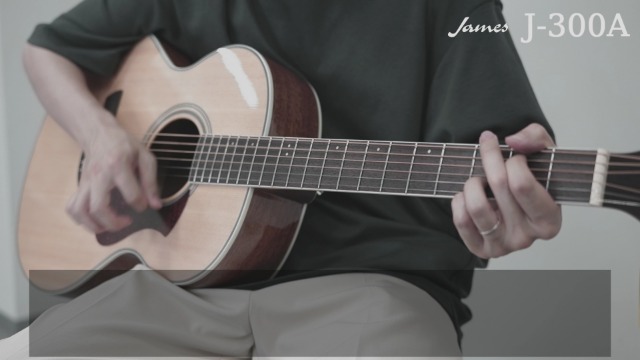 Amazon | James J-300A アコースティックギター初心者12点セット NAT
