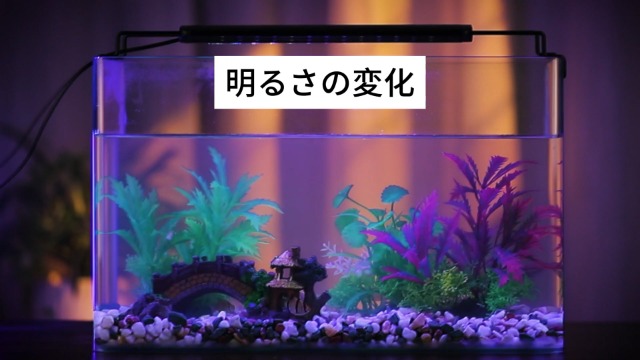 Amazon | 水槽 ライト 水槽用 照明 ledライト アクアリウムライト 防水