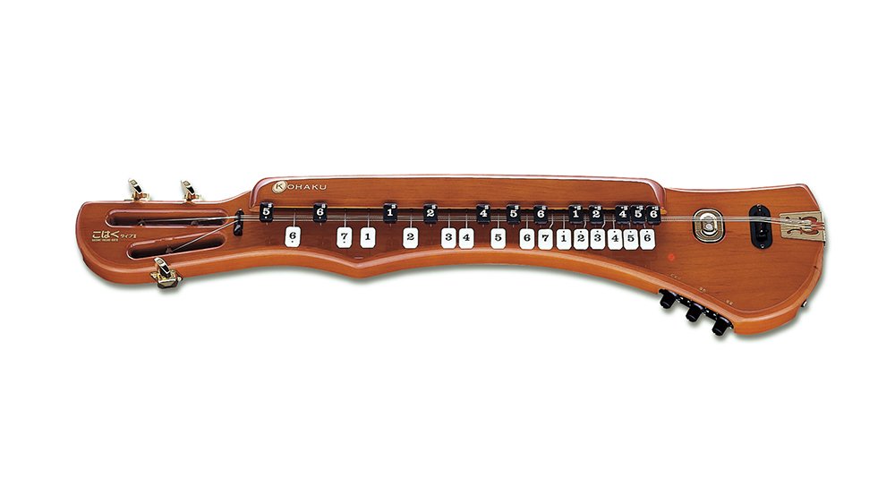 Amazon | SUZUKI スズキ 電気大正琴 こはくタイプⅡ | 大正琴 | 楽器