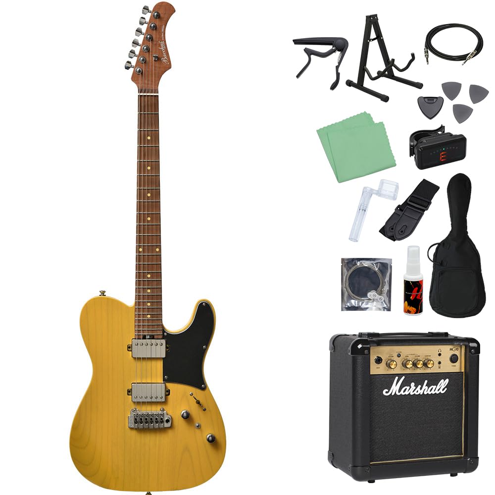 Amazon | Bacchus TACTICS24-ASH/RSM エレキギター初心者14点セット
