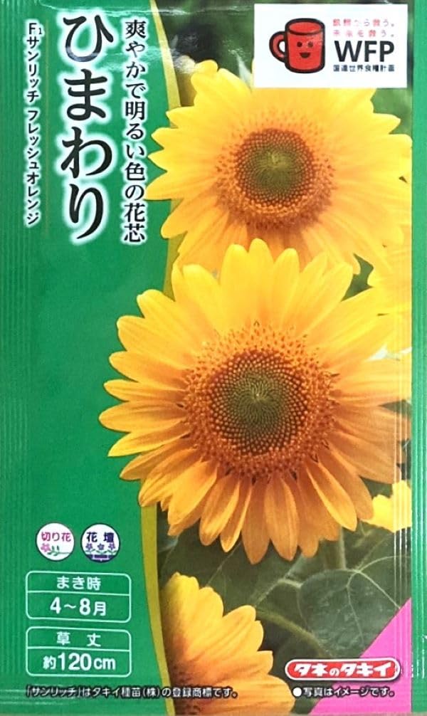 Amazon | タキイ種苗 ひまわり F1サンリッチフレッシュオレンジ | 野菜