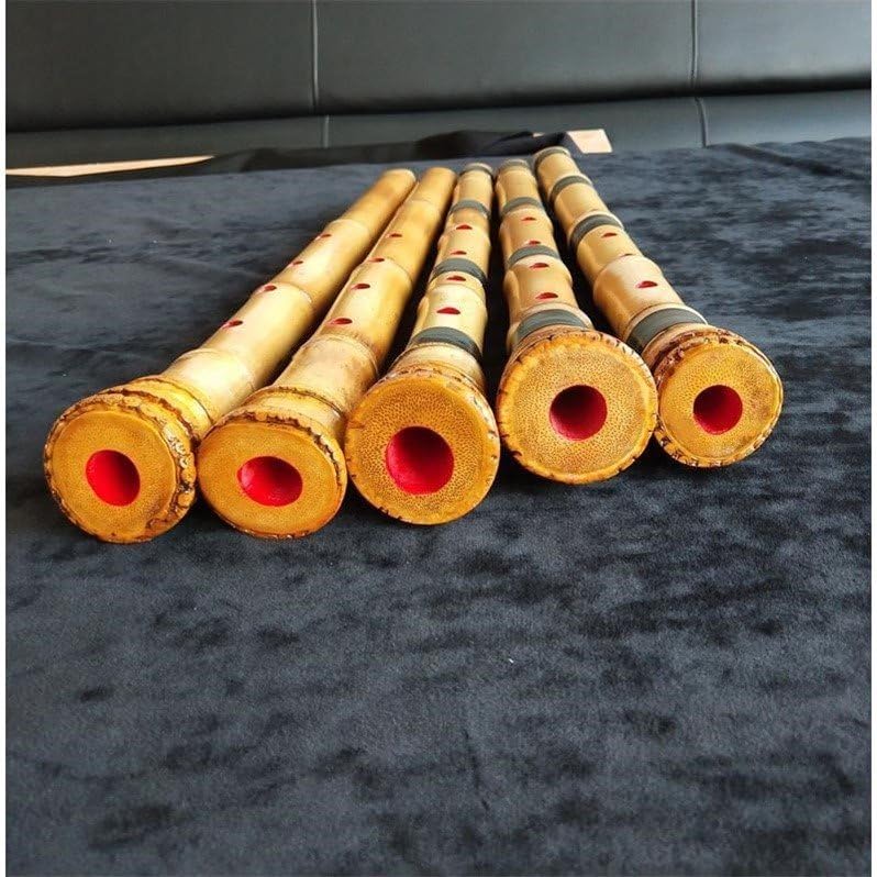 Amazon | shakuhachi五孔尺八楽器初学入門シャクハッチ七孔尺八桂竹