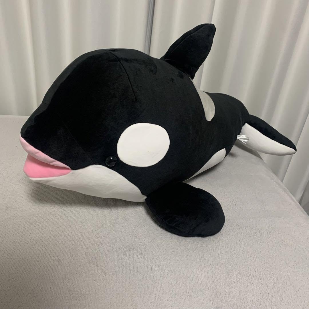 Amazon.co.jp: 神戸須磨シーワールド オルカくじ 1等 Y : おもちゃ