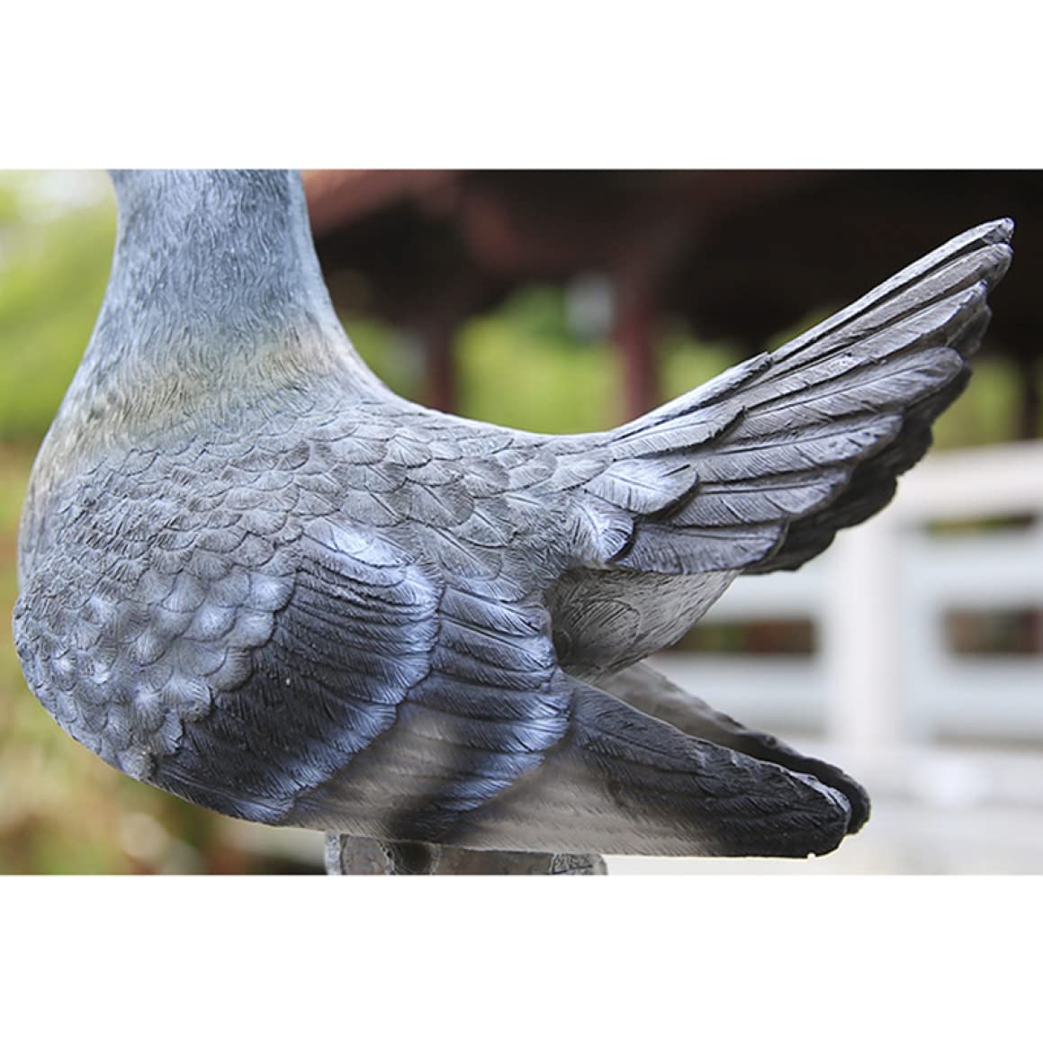 Amazon.co.jp: [dhiuebc] ハト置物 インテリア F ハトの置物 鴿子の