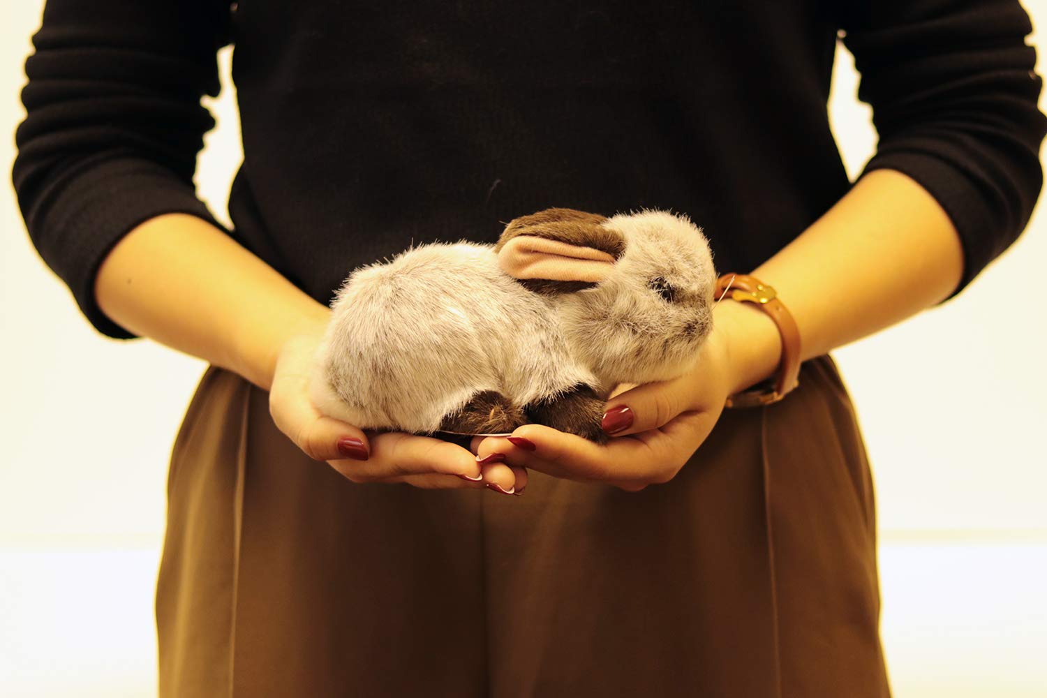 Amazon.co.jp: Yoshitoku 180498 Rikuinamatachi Rabbit Plush Toy