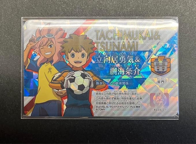 Amazon.co.jp: イナズマイレブン イレブンライセンス 立向居勇気綱海条