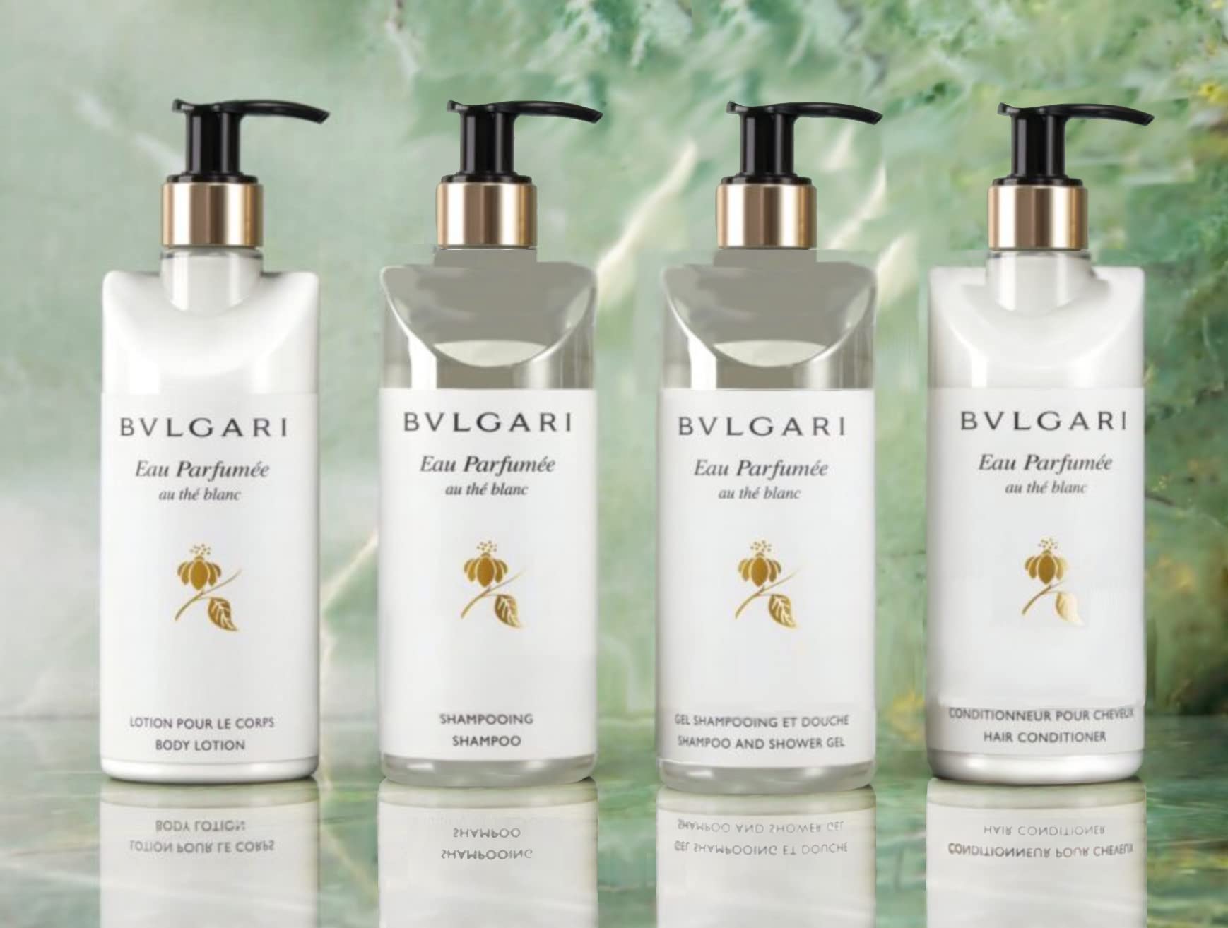 Amazon.com : BVLGARI Eau Parfumee au the blanc White Tea Hand