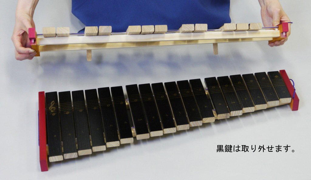 Amazon.co.jp: ゼンオン 卓上木琴 半音付き No.181WA 日本製 : 楽器