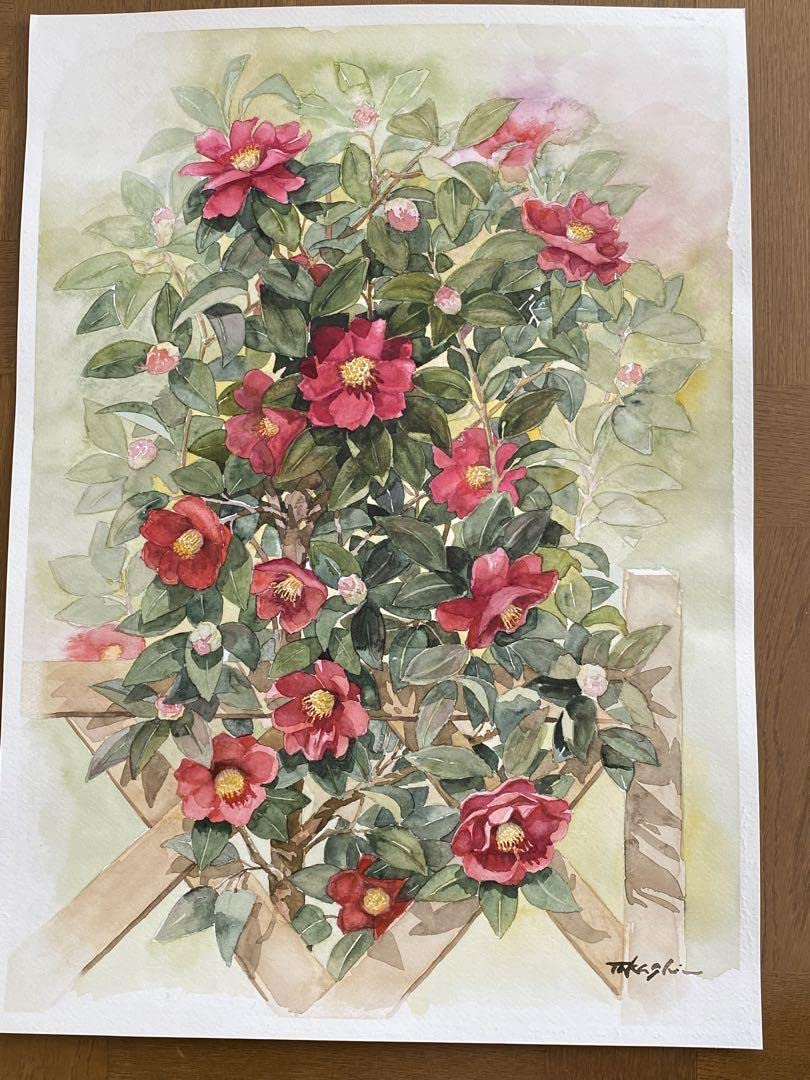 Amazon.co.jp: 水彩画 椿 絵画 冬の絵 ホワイトワトソン紙 : おもちゃ