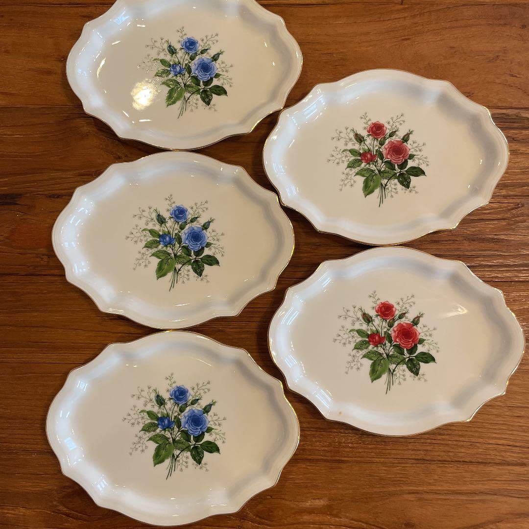 Amazon.co.jp: Richard Ginori リチャードジノリ 皿 9 : ホーム＆キッチン