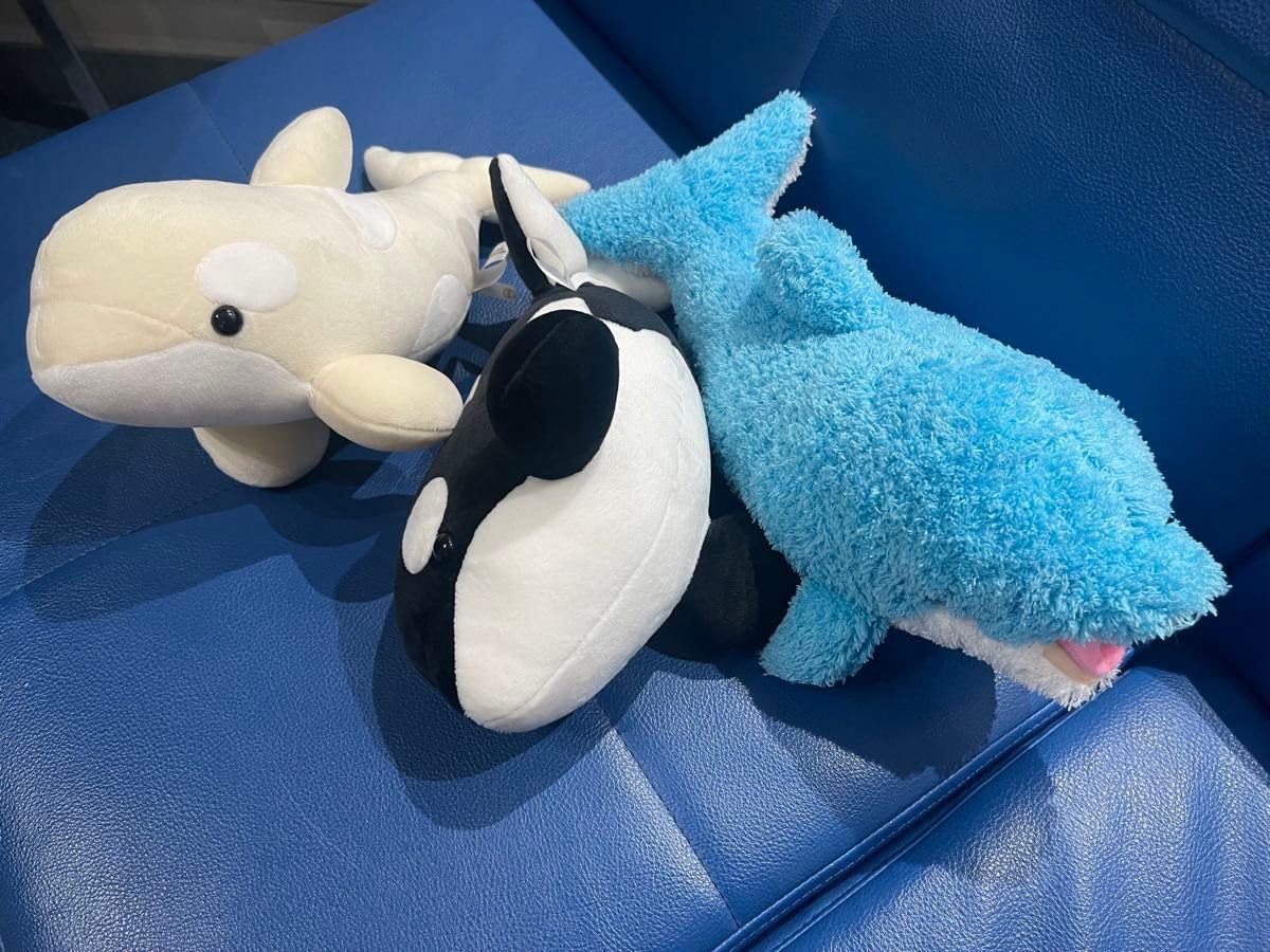 Amazon.co.jp: 名古屋港水族館 ぬいぐるみくじ 白シャチ 黒シャチ