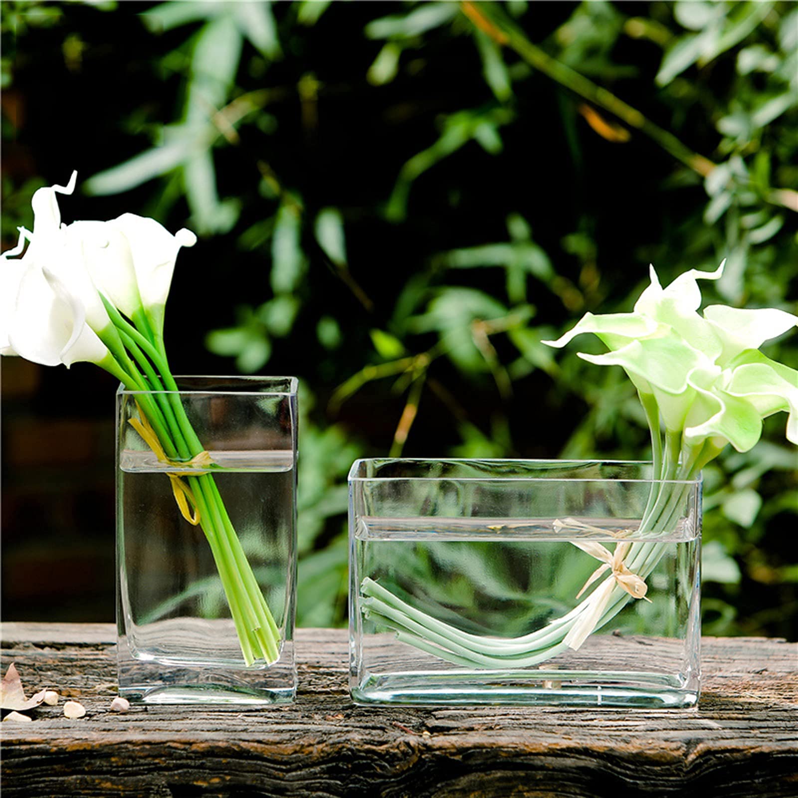 Amazon.co.jp: 花瓶透明ガラス花瓶、四角円筒生花水耕栽培花瓶ガラス