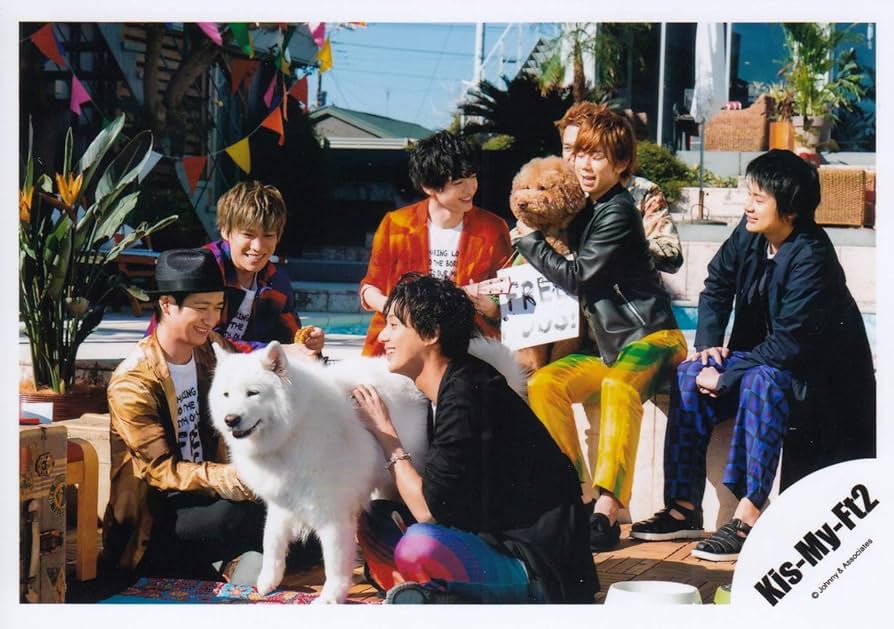 Amazon.co.jp: Kis-My-Ft2 公式生写真 （集合写真）KIA00242 : おもちゃ