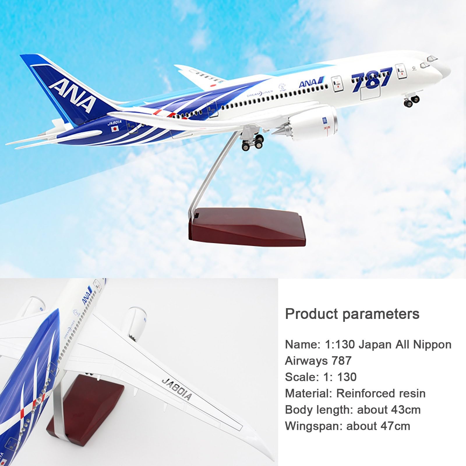 Amazon.co.jp: 16.9 インチ 1:130 スケールモデル飛行機 ANA B787