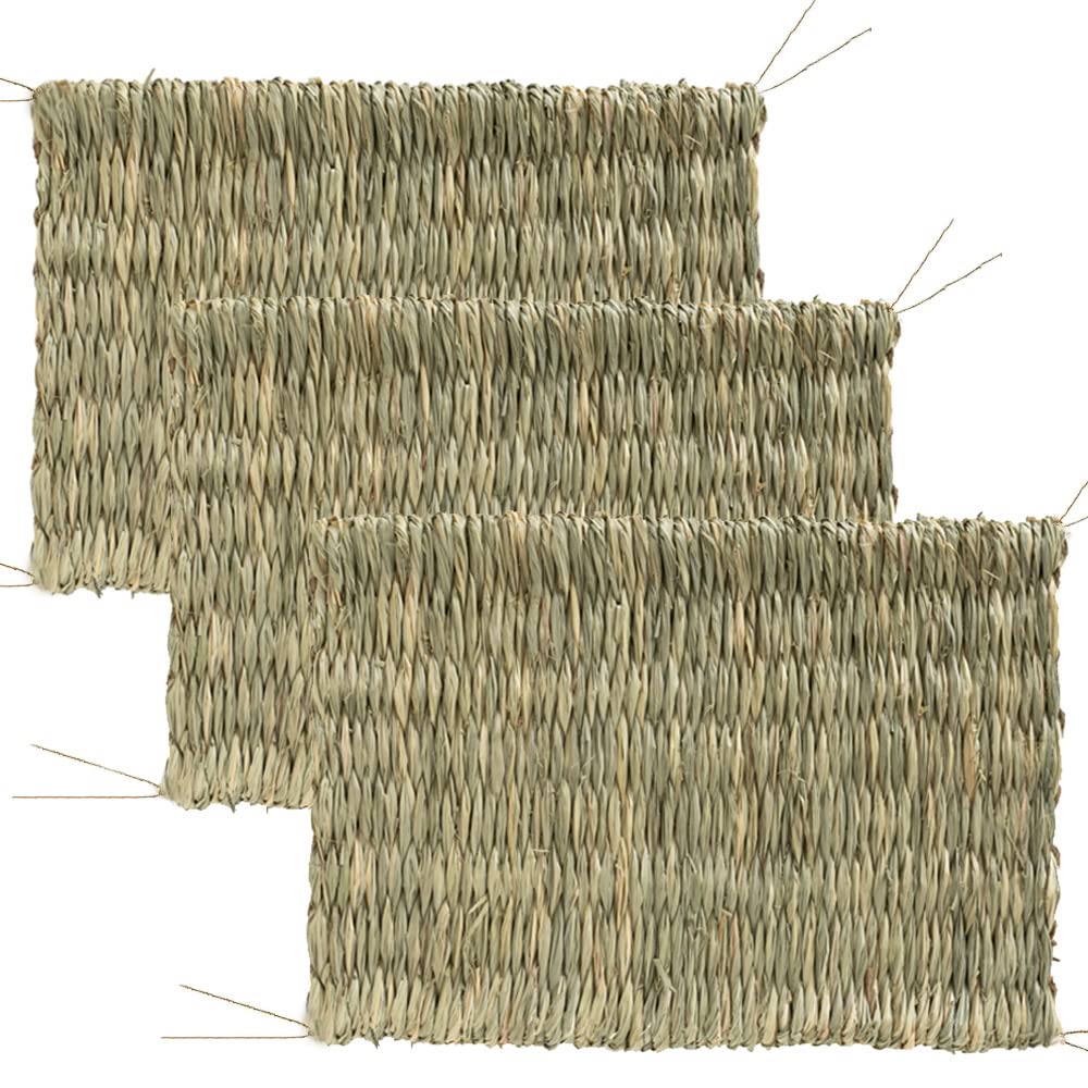 Amazon | IYOIYA うさぎ マット 42*28 大きい 3枚セット 小動物