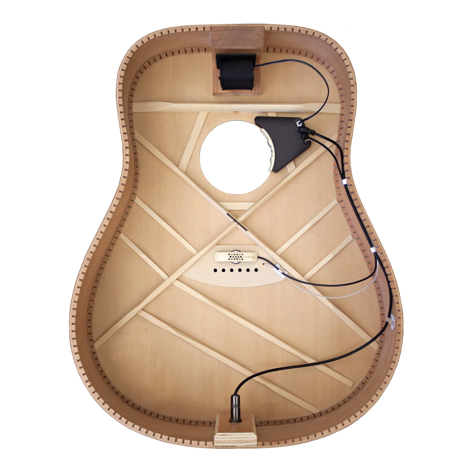 Amazon.com: L.R. Baggs Anthem Acoustic Guitar Pickup and