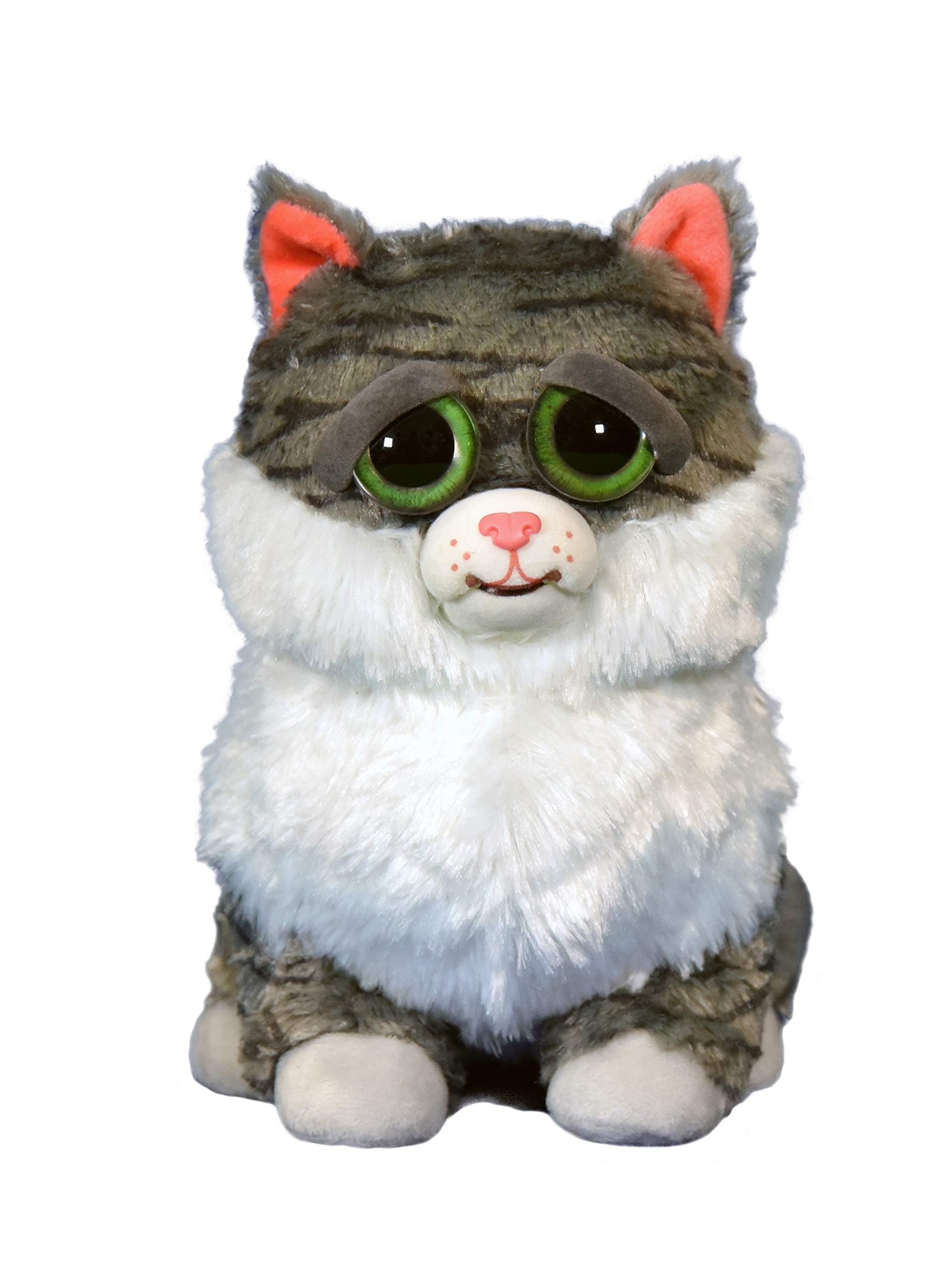 Amazon.co.jp: Feisty Pets ぬいぐるみ 太った猫 レイジーラニ