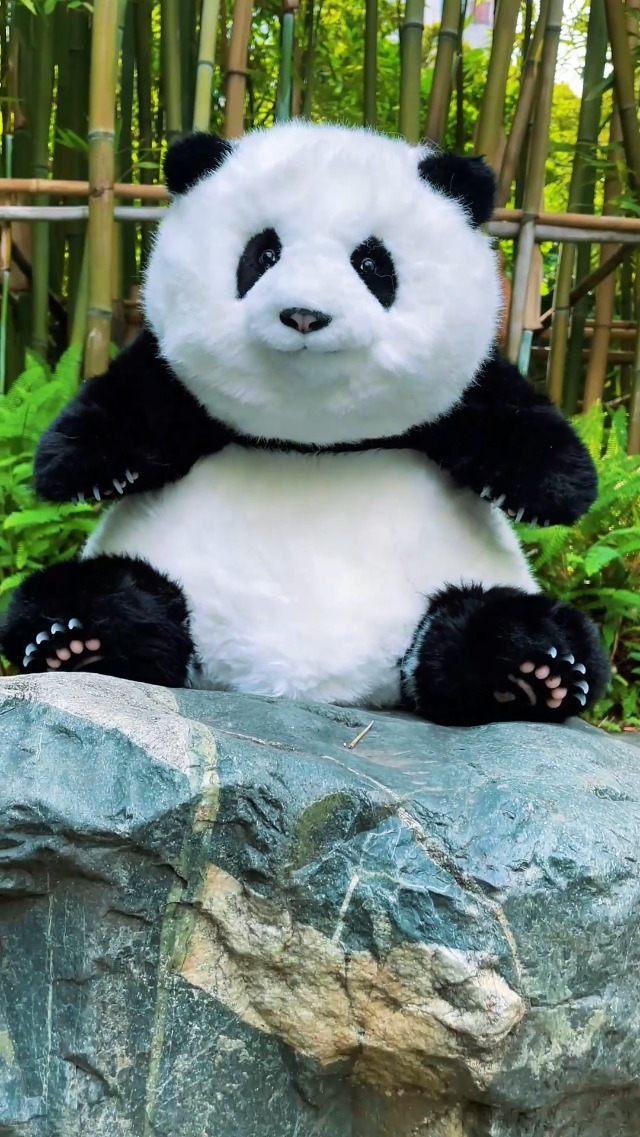 Amazon.co.jp: Chongker パンダのぬいぐるみがリアルでリアル、パンダ