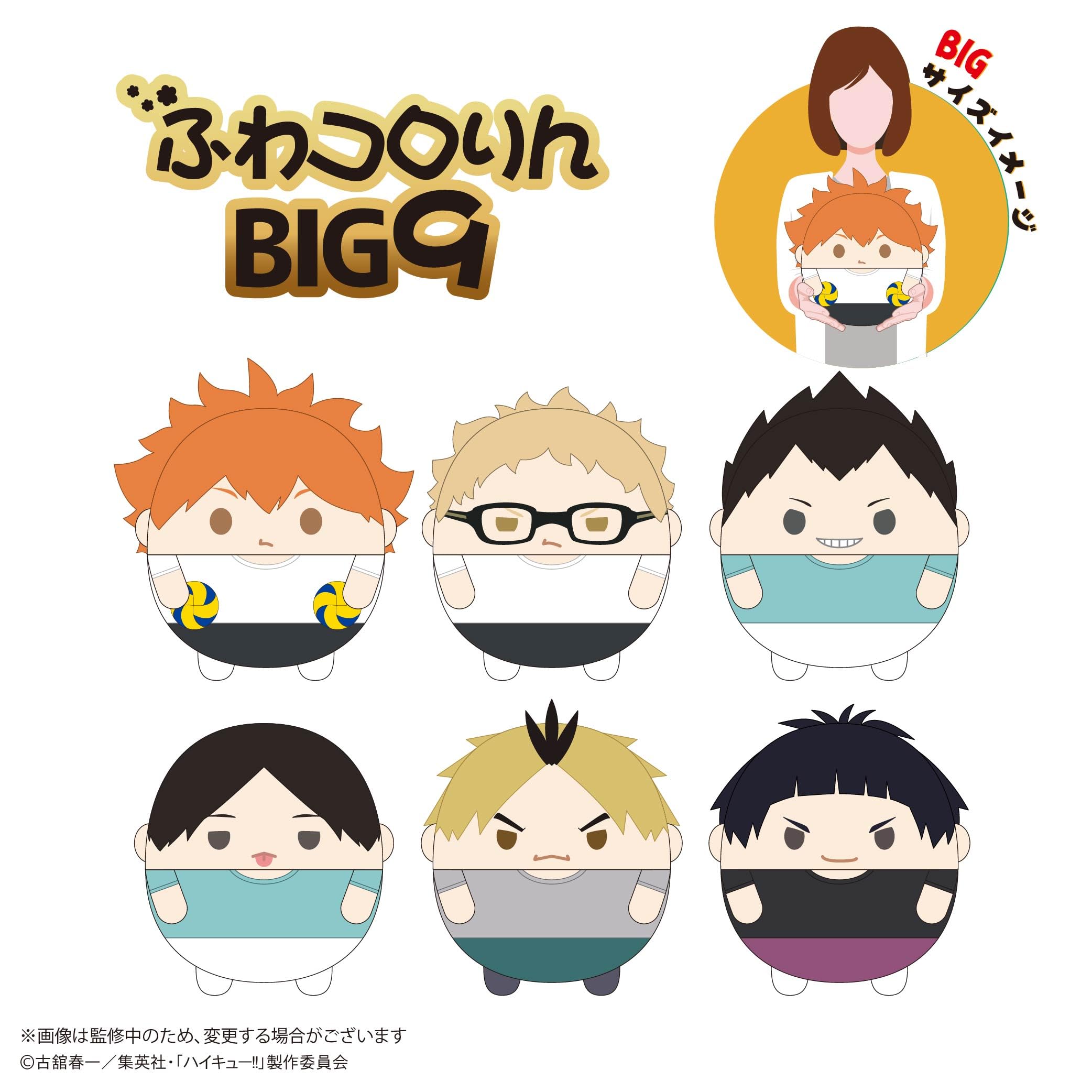 Amazon.co.jp: ハイキュー!! ふわコロりんBIG9 D：国見 英 : おもちゃ