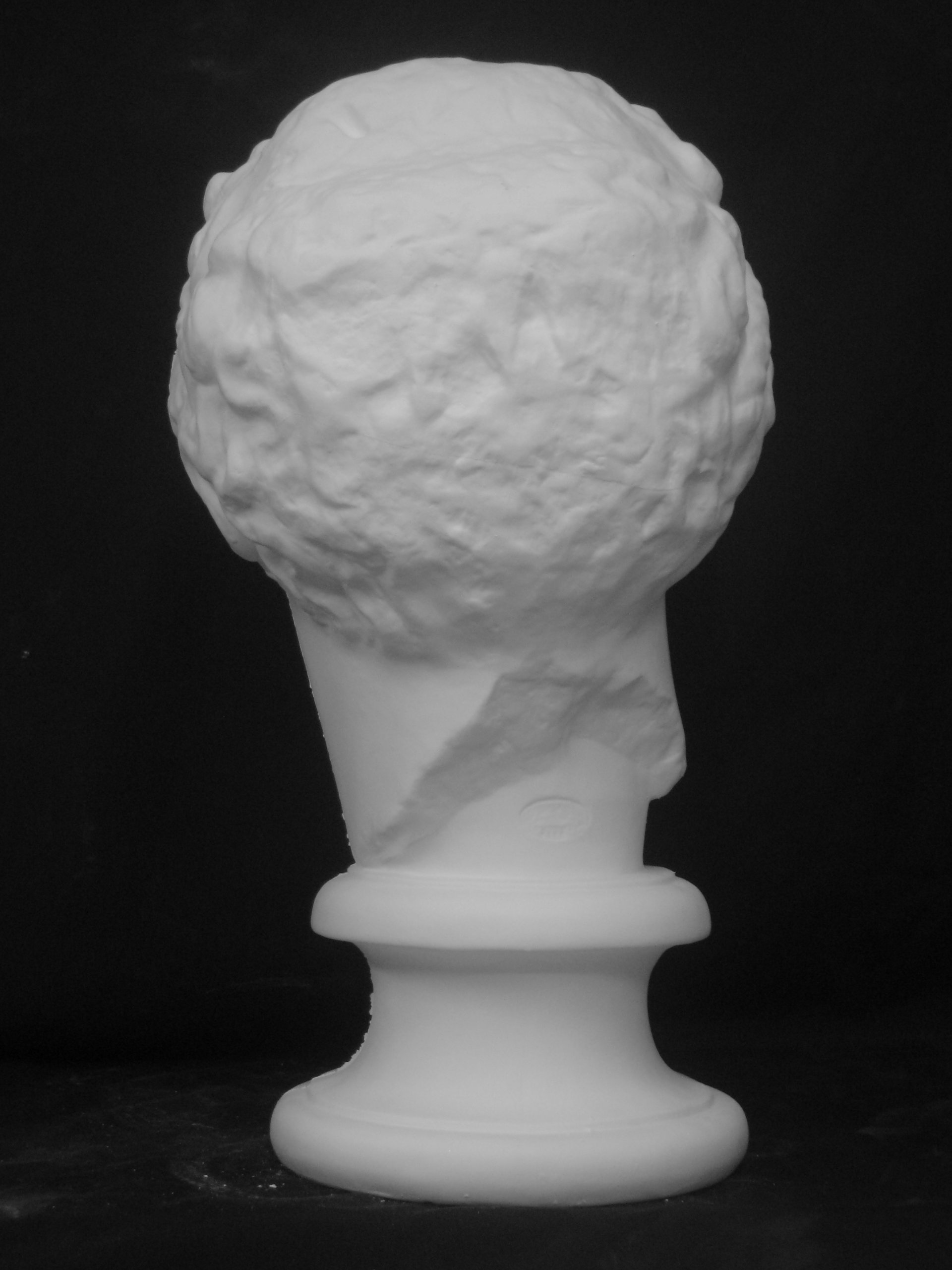 Amazon.co.jp: 石膏像 S－202 パルテノン首像（ラボルト） H