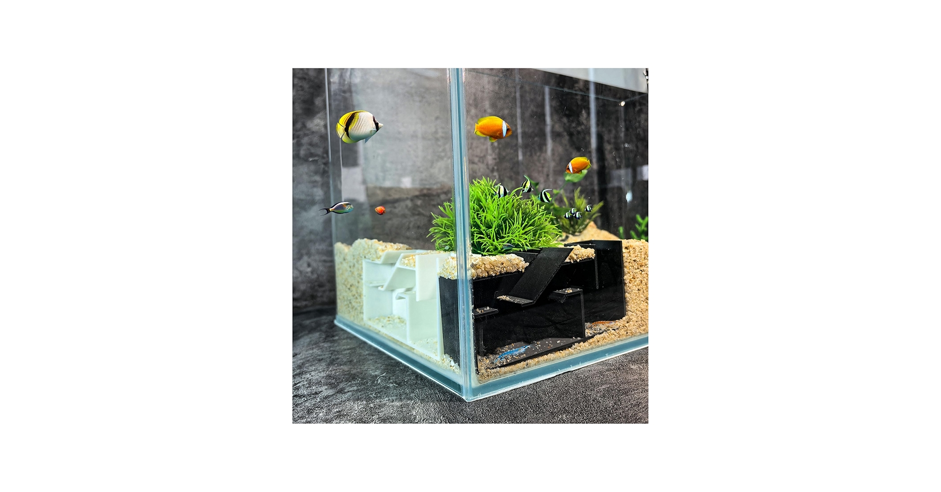 Amazon.co.jp: Toileum 魚 エビの隠れ家水槽用 水槽トンネル 魚 エビの