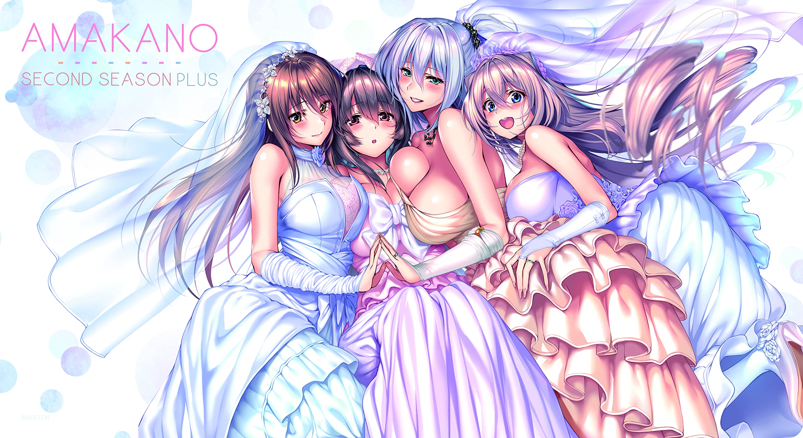 Amazon | NEXTONガールズラバーマットVol.025 アマカノ-Second Season