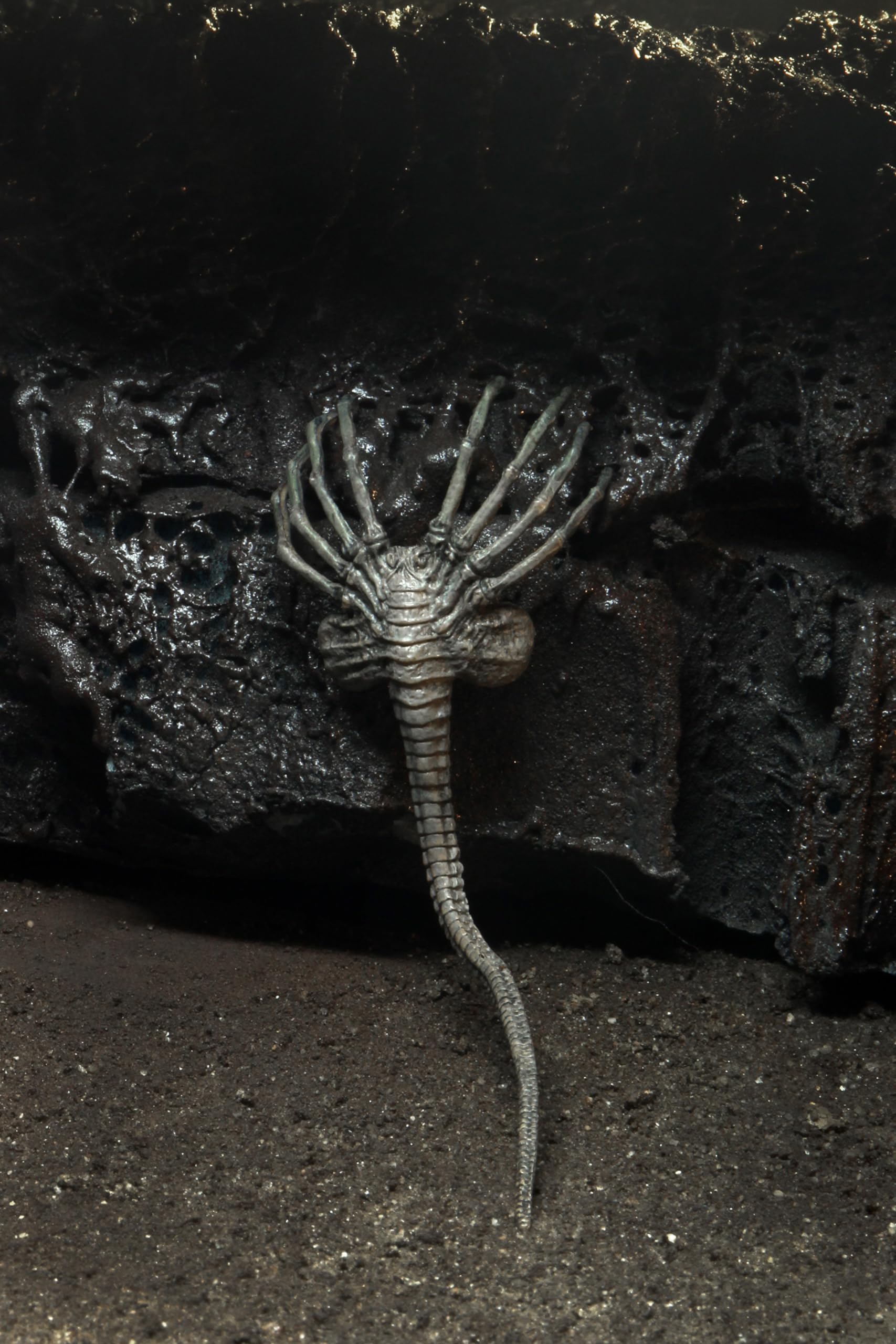 Amazon | Neca Alien 40th Anniversary Wave 4 The Alien Xenomorph