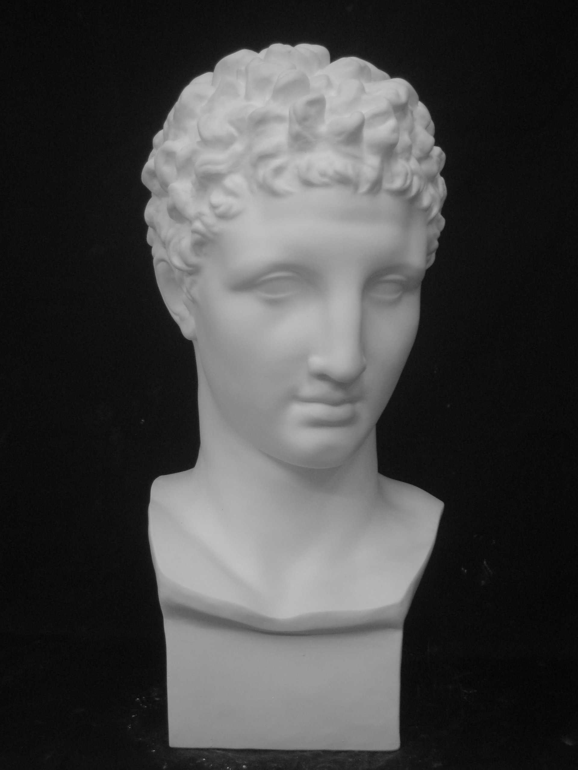 Amazon.co.jp: 石膏像 S－227 ヘルメス首像 H．55cm : ホーム