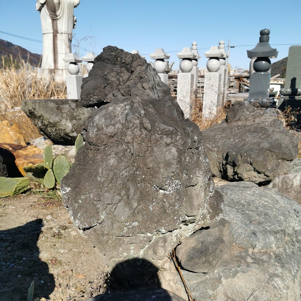 Amazon.co.jp: 浅間溶岩石166キロ庭石鑑賞石石盆石水石灯籠庭坪庭盆栽