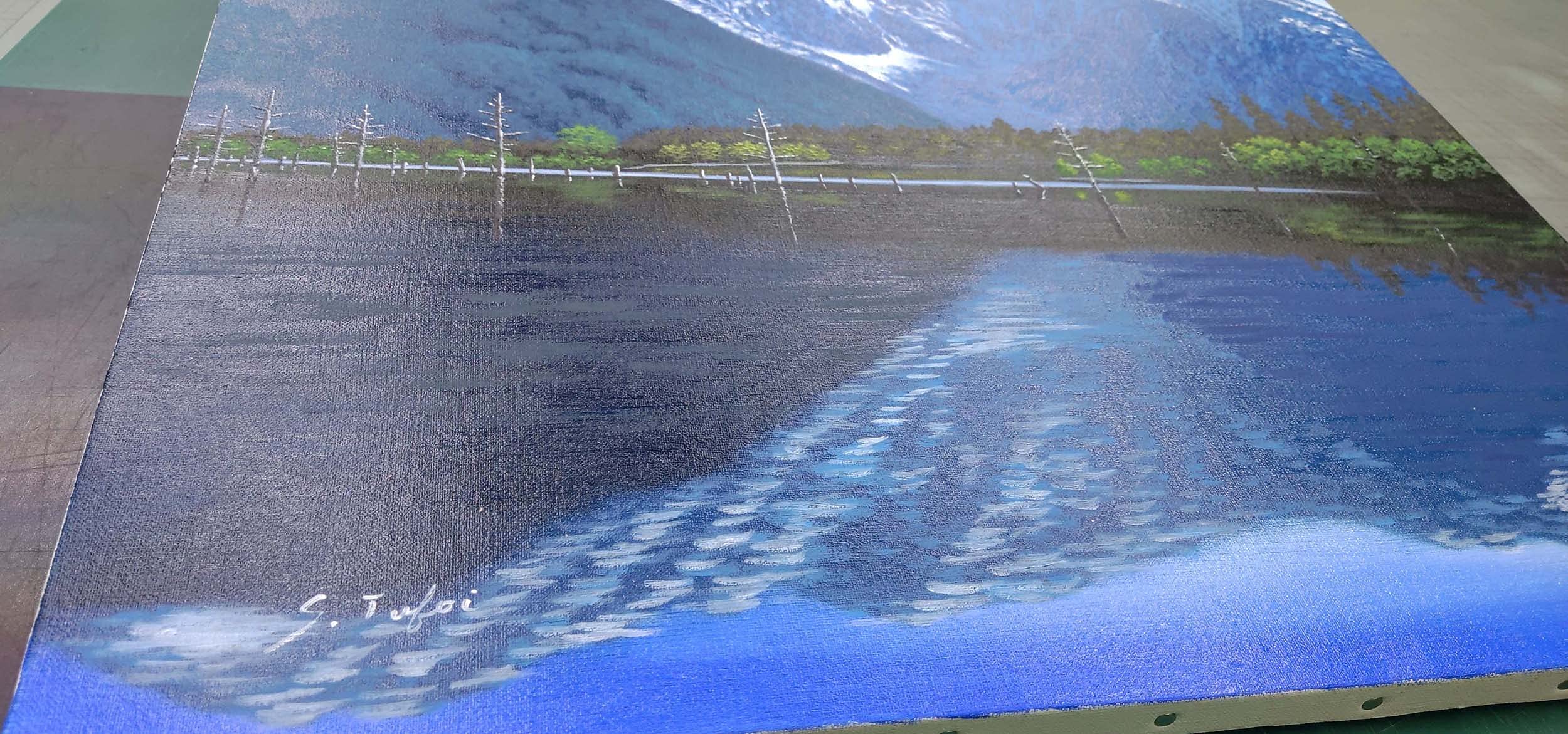 Amazon.co.jp: 坪井 志朗 油絵額 F10 「上高地大正池」 : ホーム＆キッチン