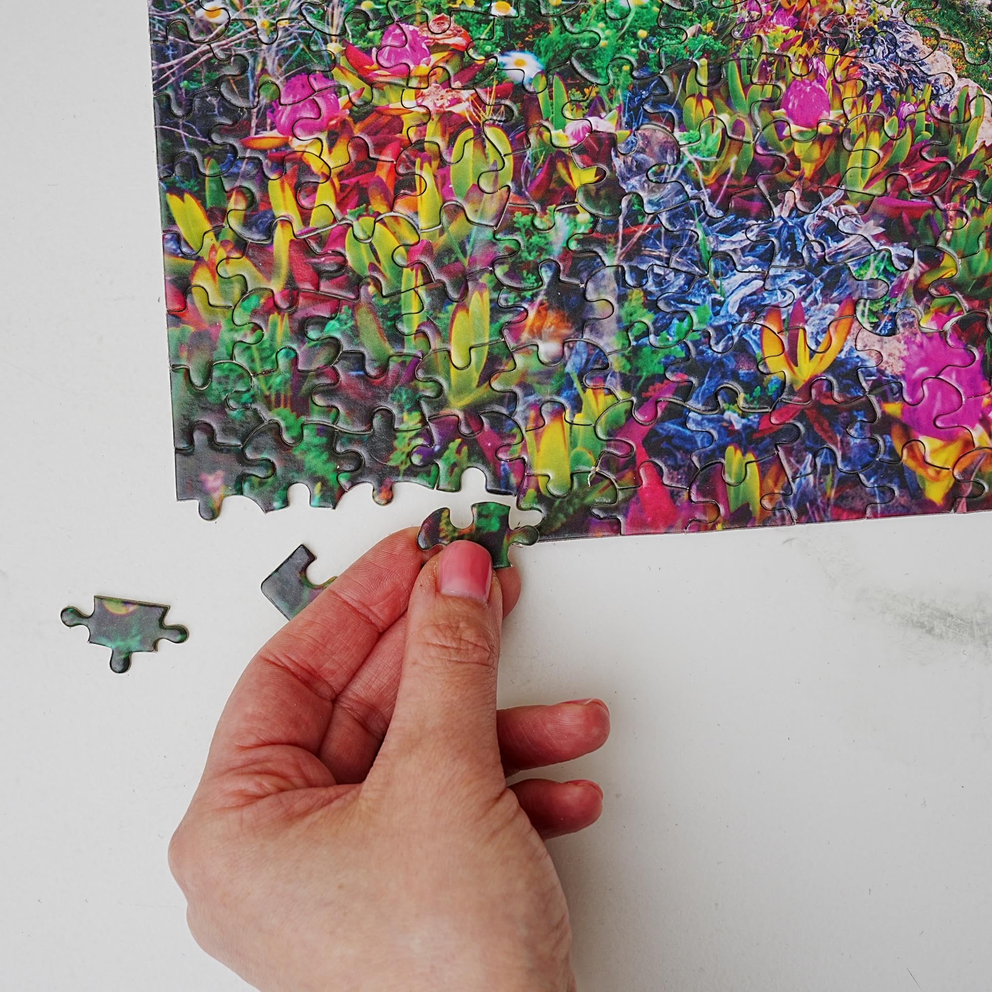 Amazon.com: Pink Sky Beach 500 Piece Natures Beauty Jigsaw Puzzle