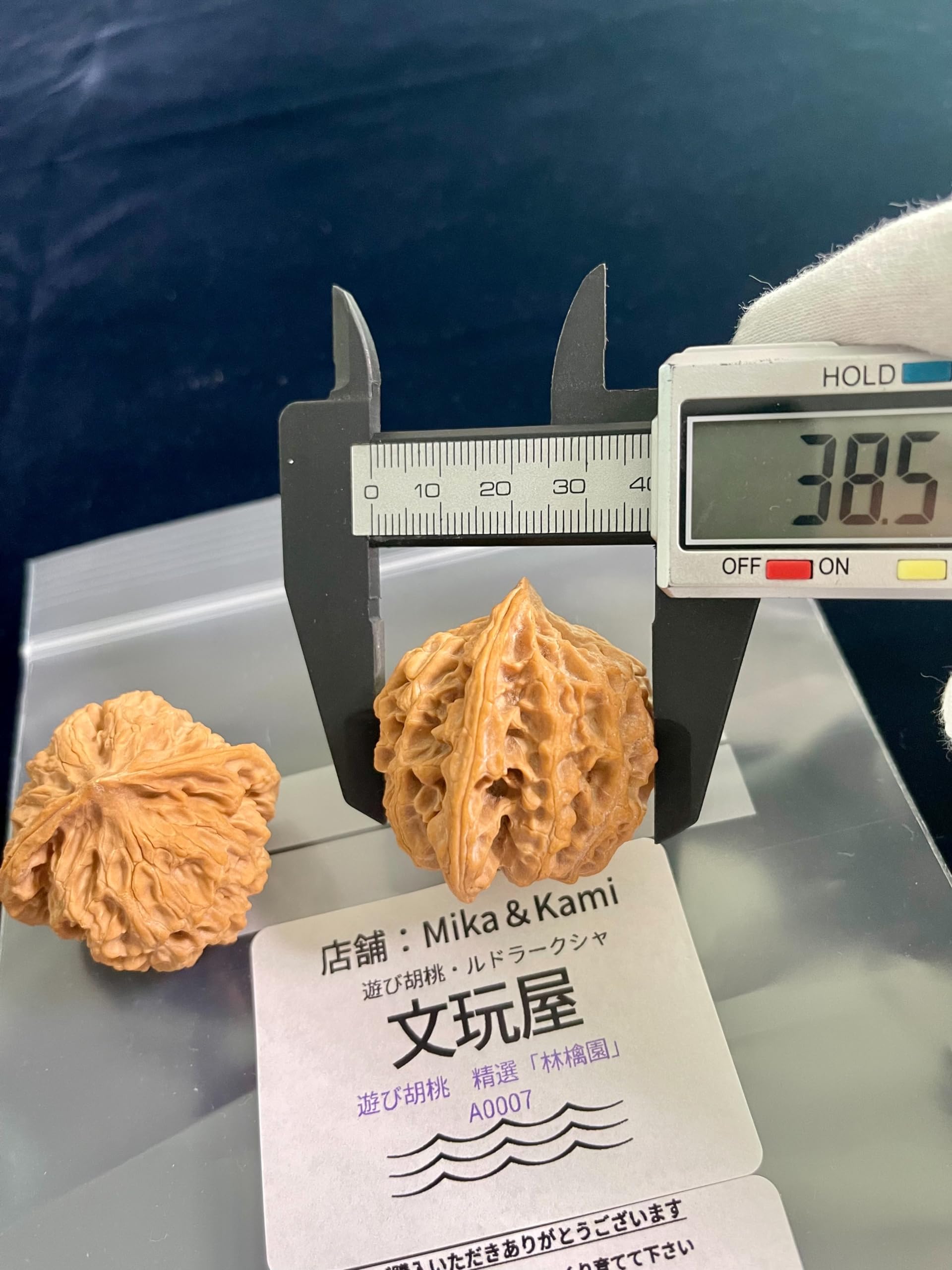 Amazon | 文玩屋 遊び胡桃 精選「林檎園」A0007「手で遊び育てる楽しみ