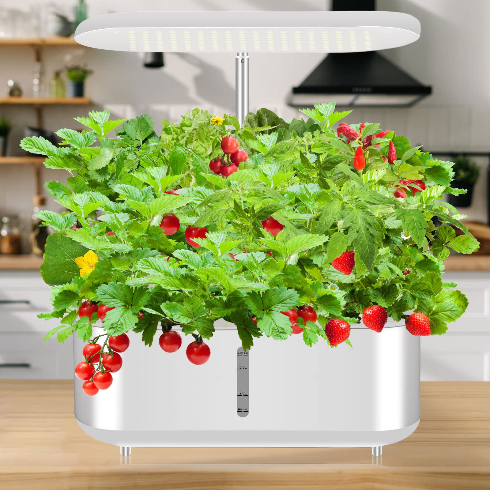 Amazon.co.jp: HCGNOXY 水耕栽培キット 室内 すいこう栽培キット 室内