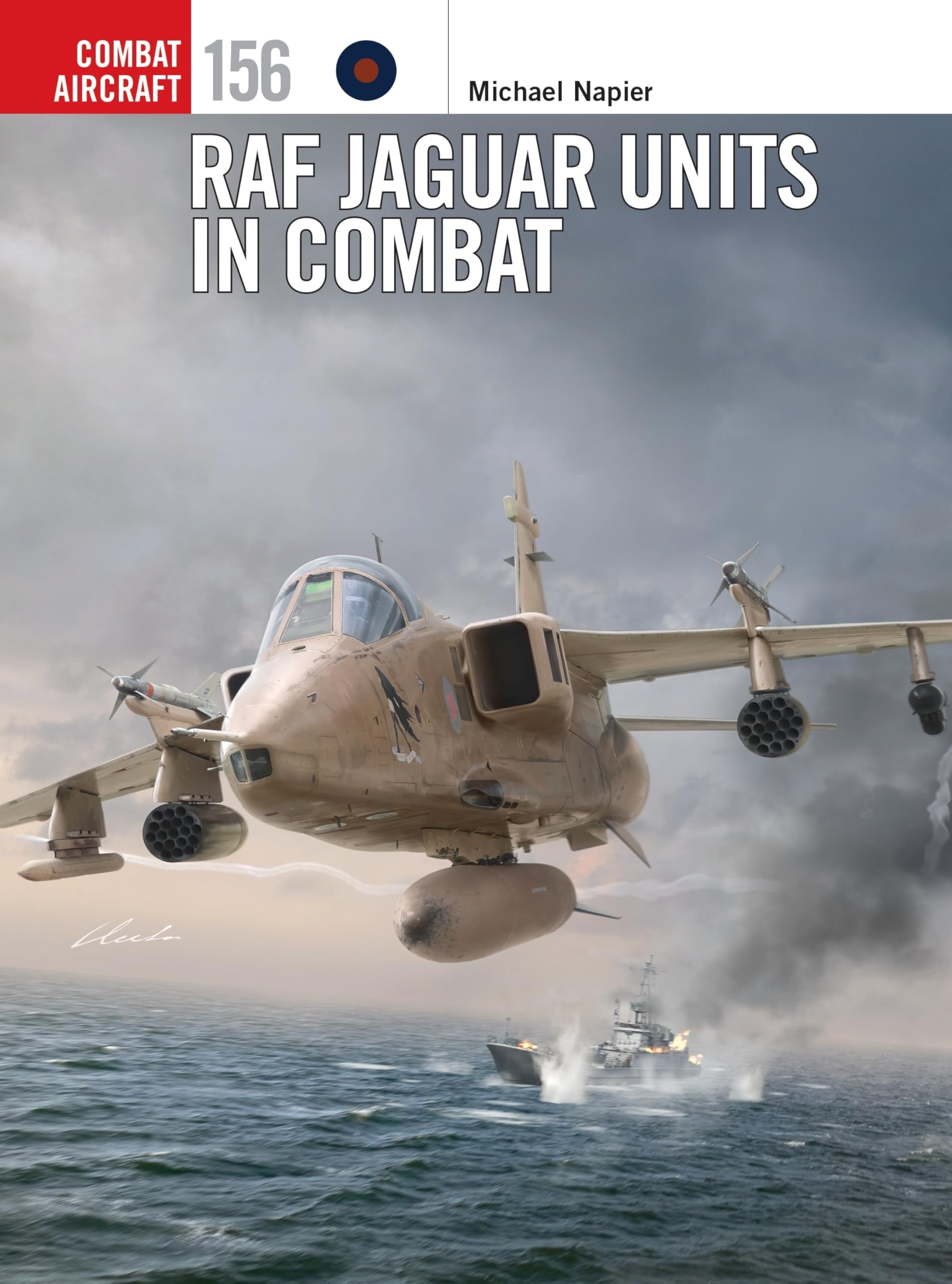 RAF Jaguar Units in Combat: 156 (Combat Aircraft): Amazon.co.uk