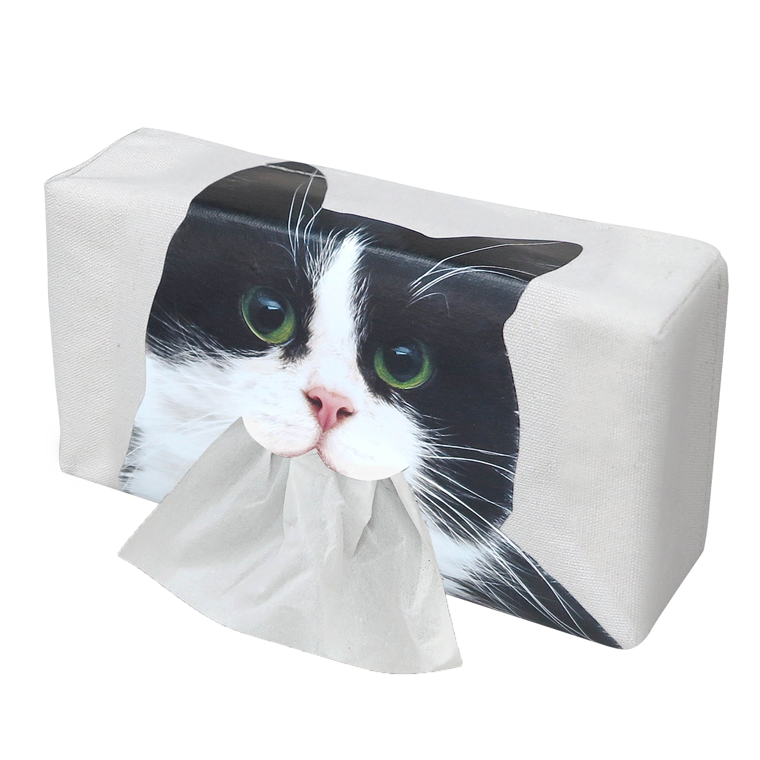 Amazon｜口からティッシュが出る! かわいい ネコ の ティッシュケース