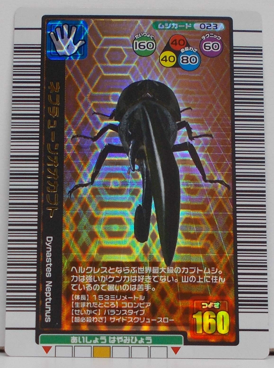 Amazon.co.jp: 【023-2004 夏限定】ネプチューンオオカブト