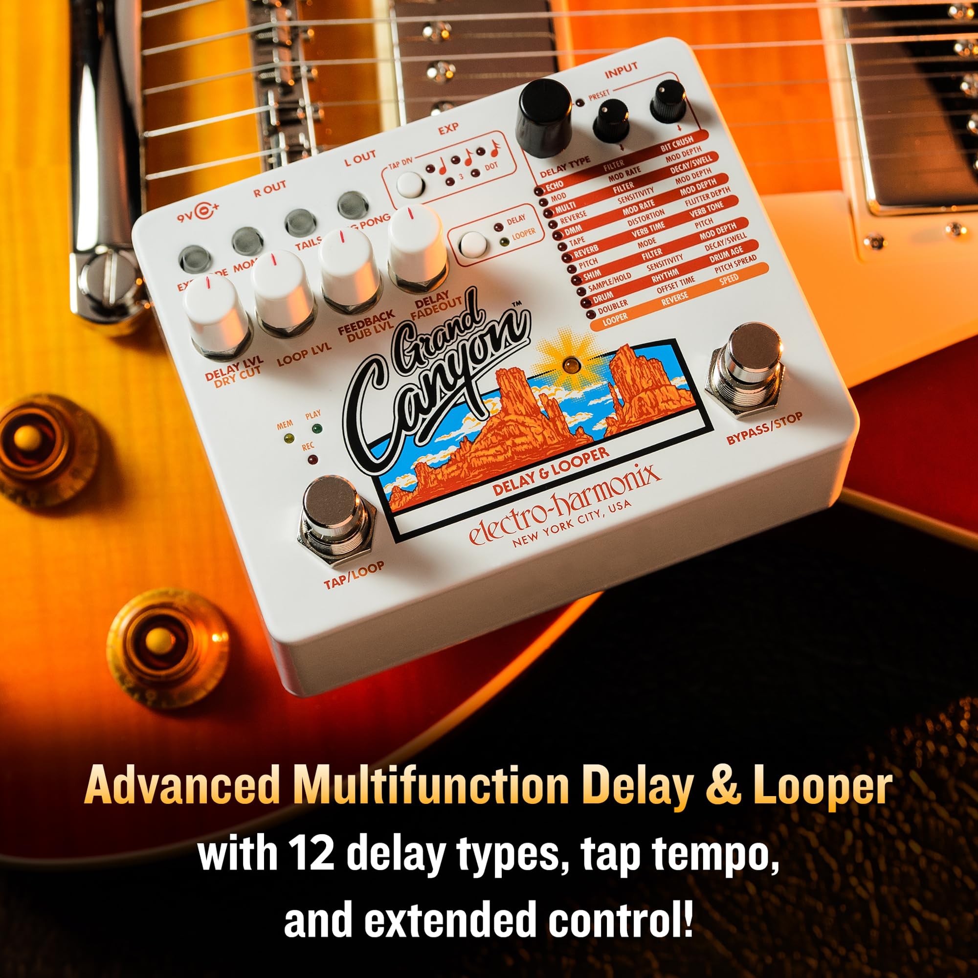 Amazon | ELECTRO-HARMONIX Grand Canyon Delay ＆ Loopers ディレイ