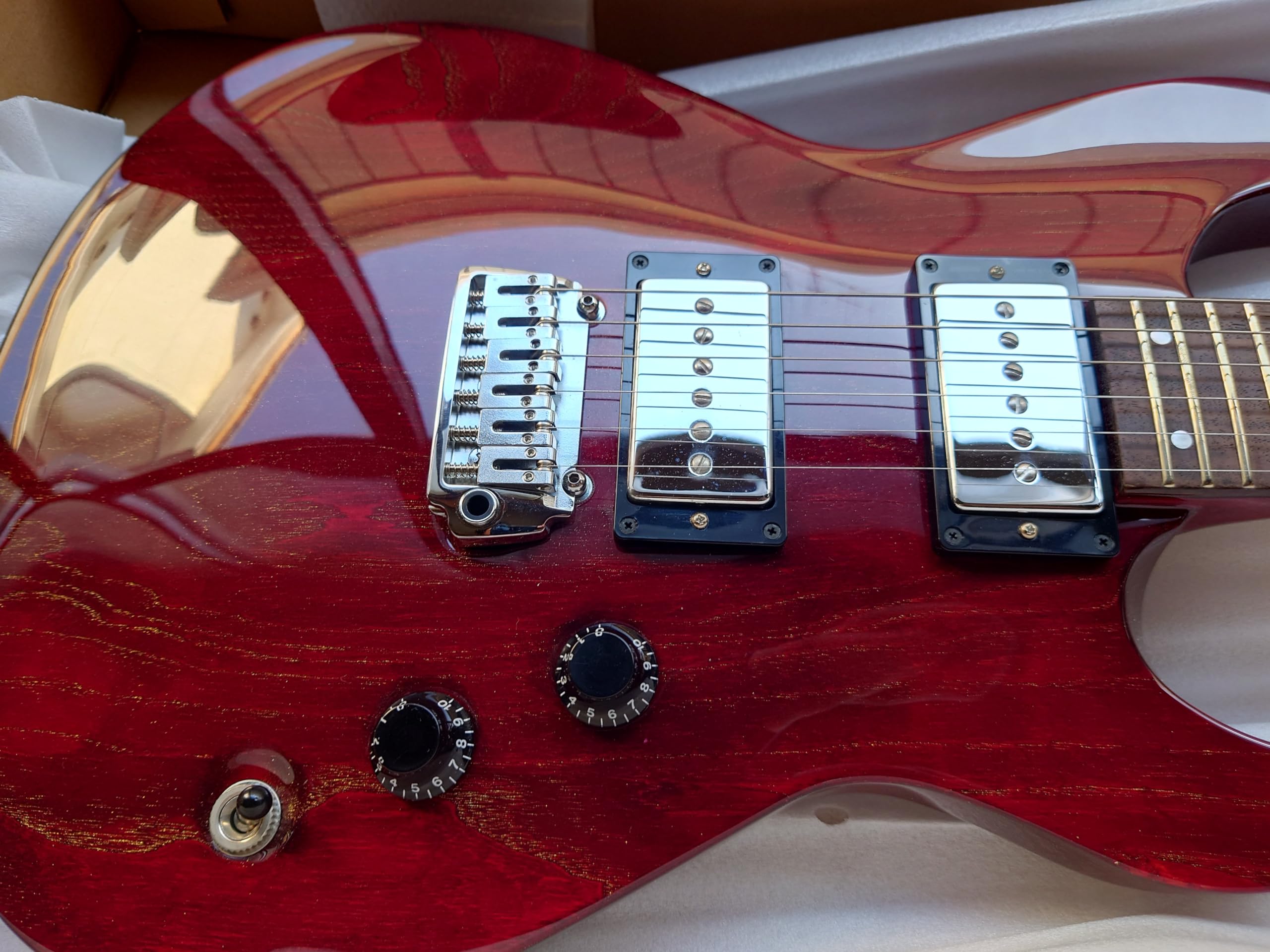 Amazon | FERNANDES エレキギター APG-DLX JPC 2011 DR | エレキギター