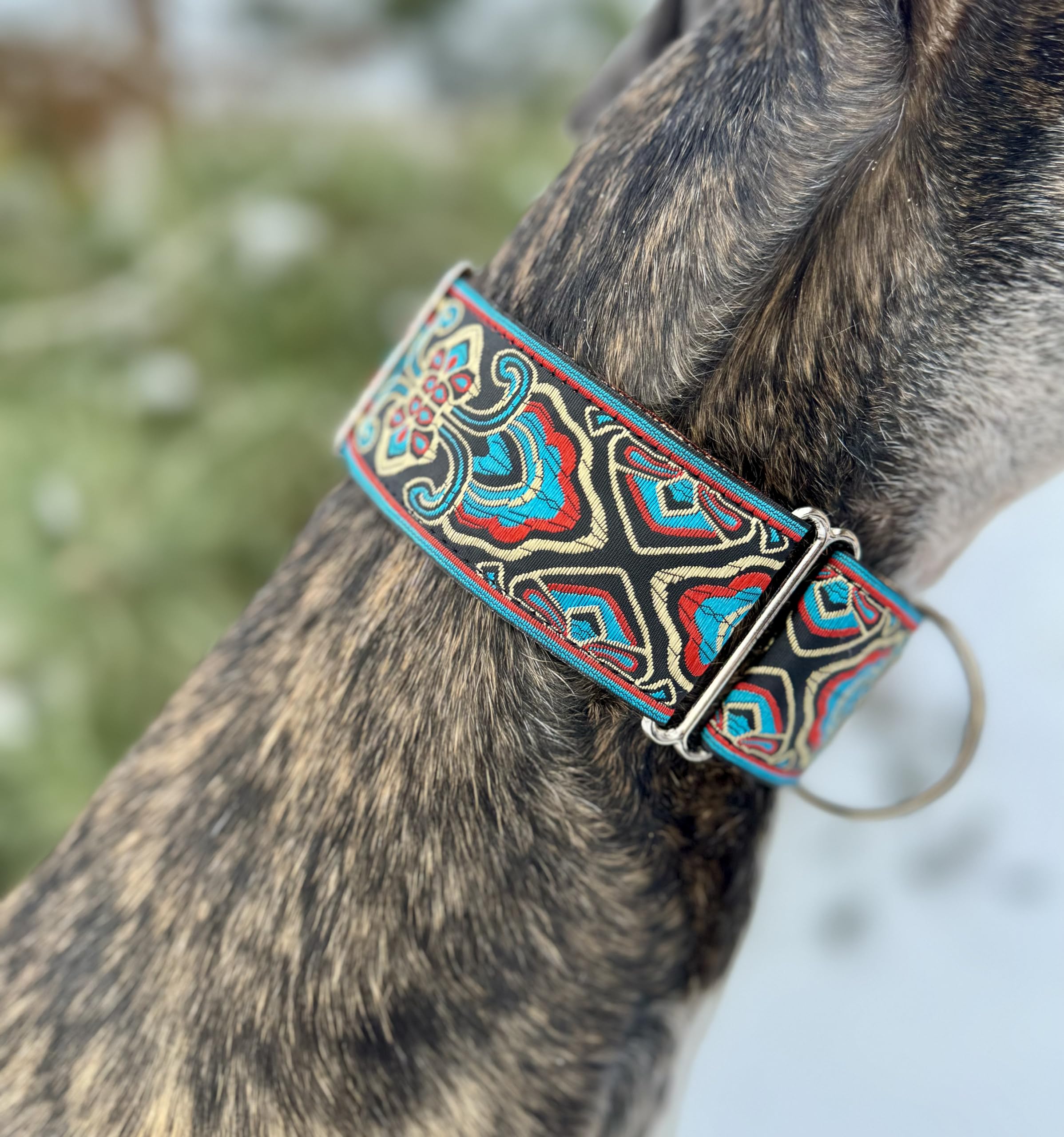 Amazon | マーチンゲール犬の首輪 グレイハウンド サルーキ ウィペット