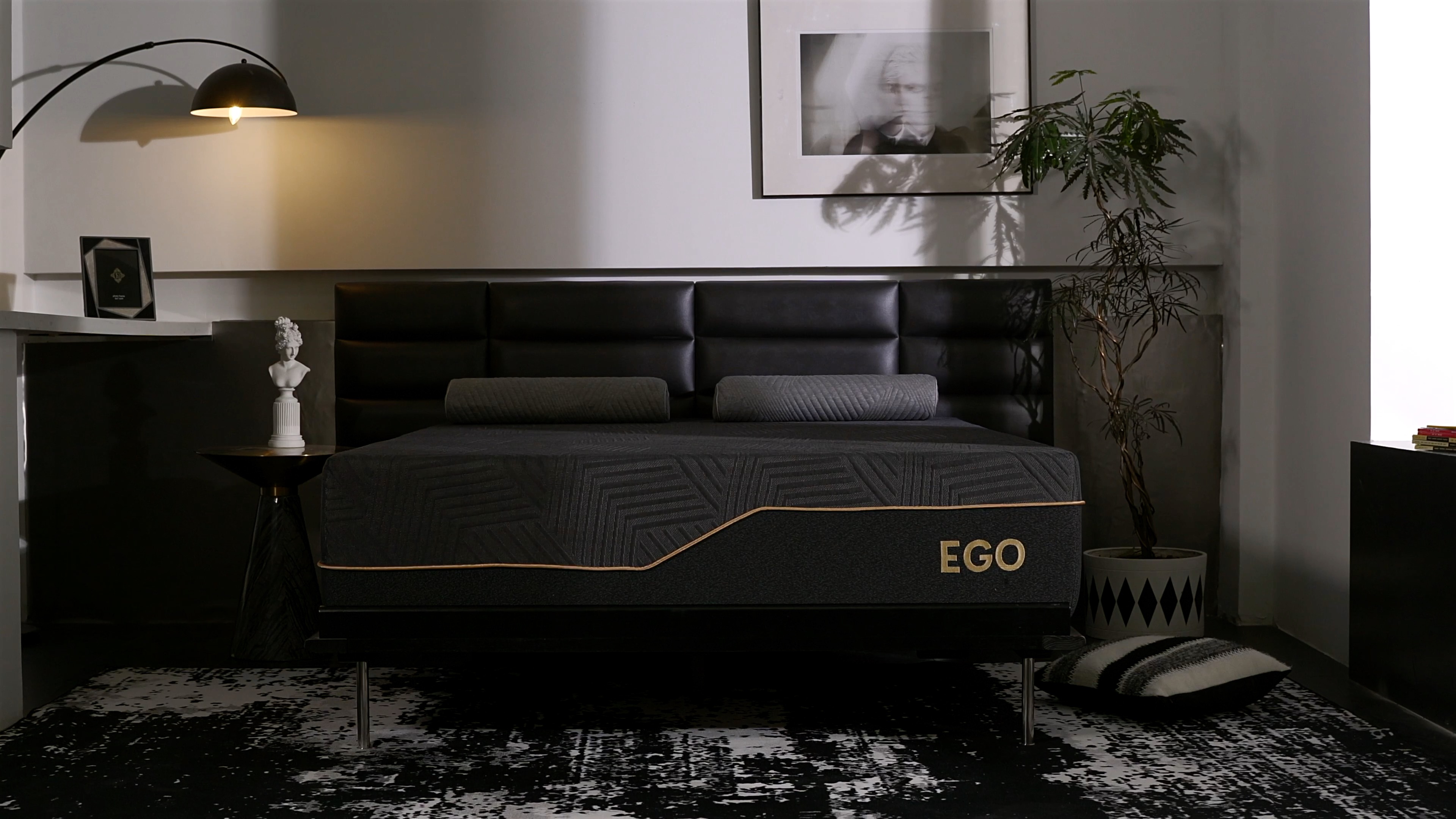 Amazon.com: EGOHOME 14 Inch Twin XL Memory Foam Mattress for Back
