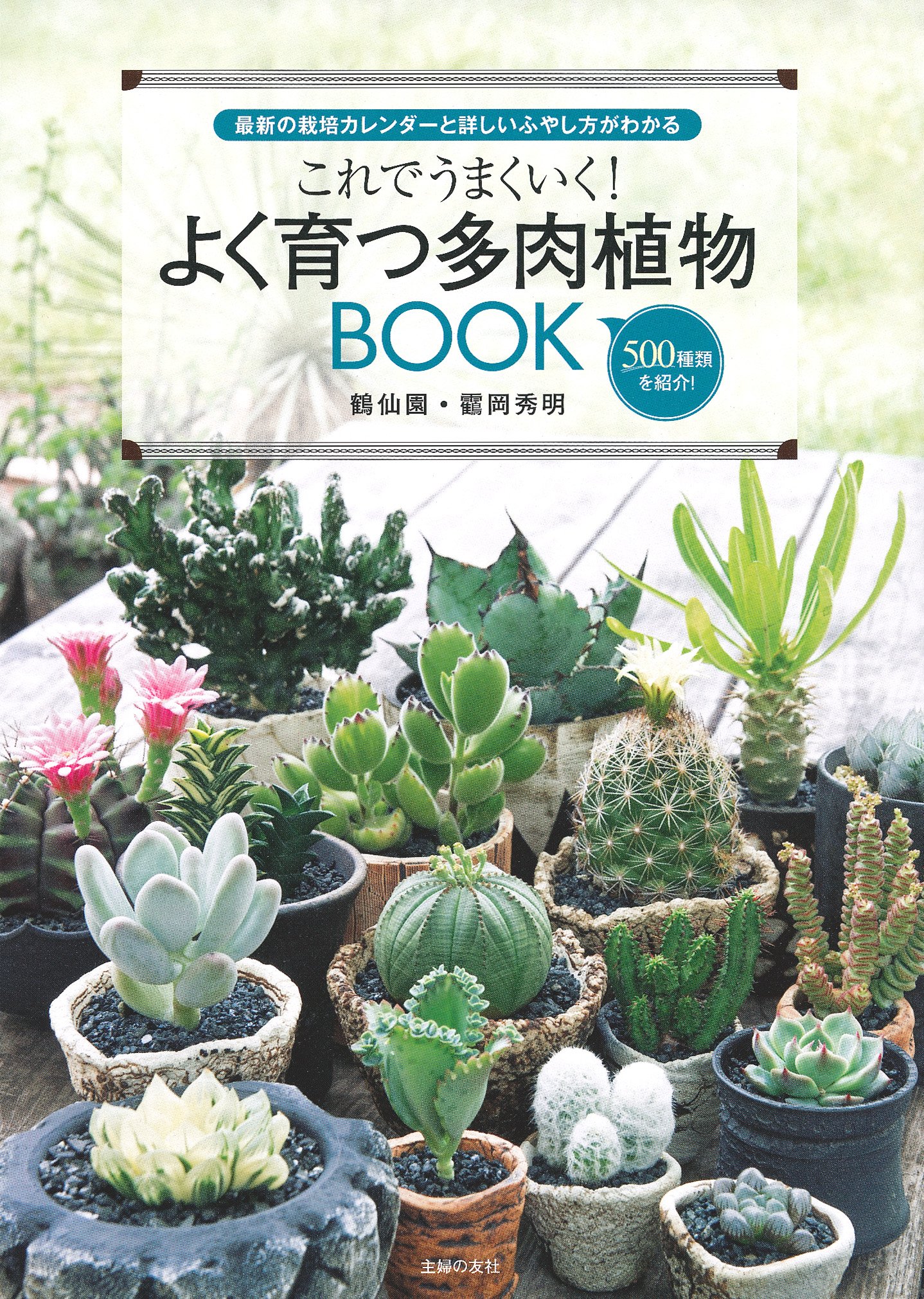 これでうまくいく! よく育つ多肉植物BOOK | 靍岡 秀明 |本 | 通販 | Amazon