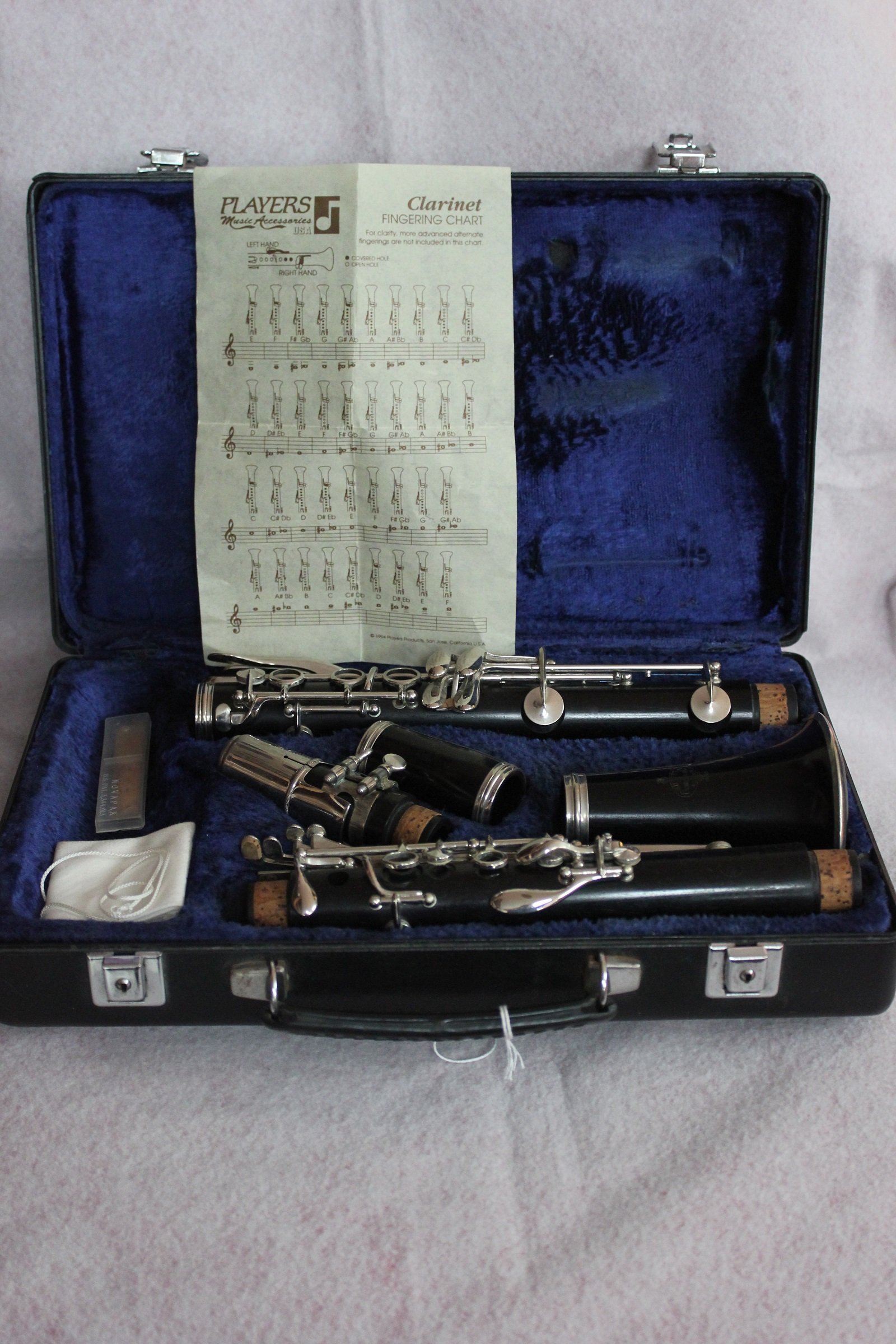 Amazon.com: Buffet Crampon E-11 Clarinet : Musical Instruments
